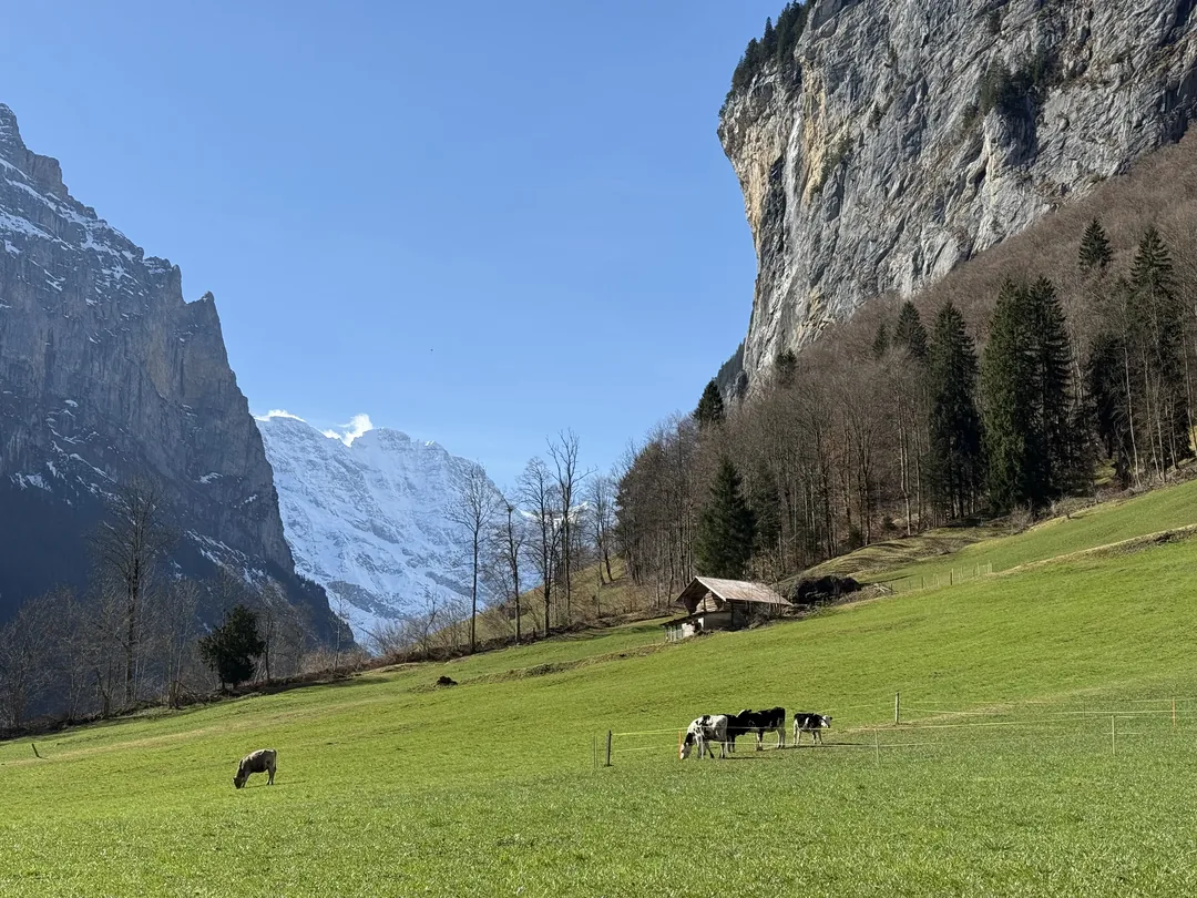 Lauterbrunnen 真的是像童話世界一樣的小鎮