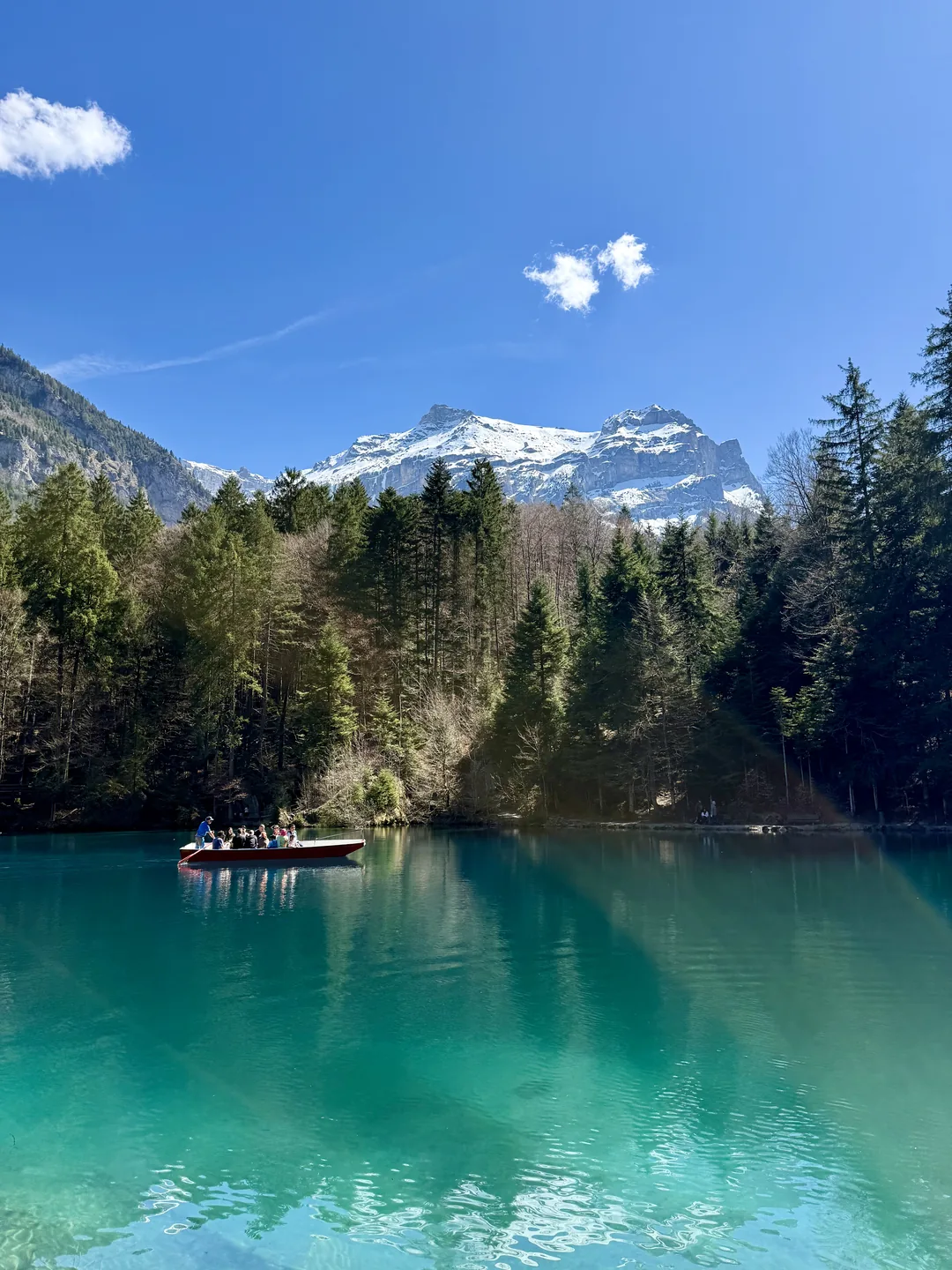 Blausee 藍湖湖水美的很夢幻