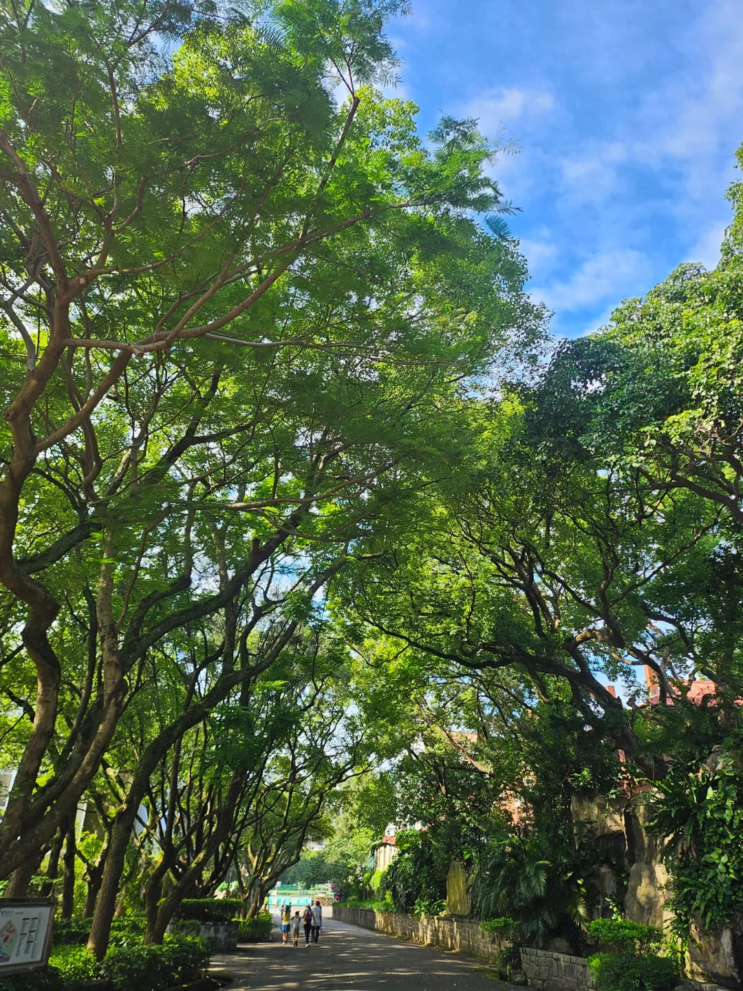 🇹🇼 (Du lịch) Đại học Aletheia, Đài Loan