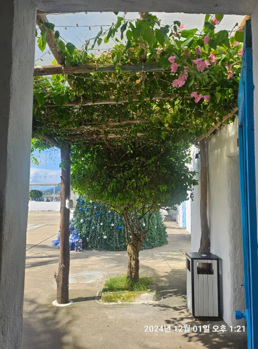 🎉Đà Nẵng cùng người bản địa #31🎉 Nhà hàng view đẹp liên kết Sơn Trà Marina