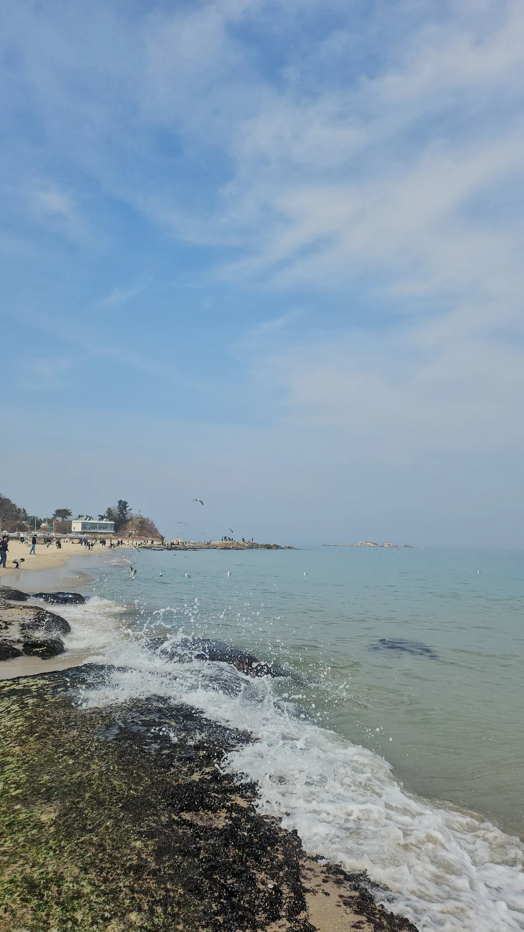 (Du lịch) Bãi biển Ayajin, Goseong, dạo bước bên biển mùa đông