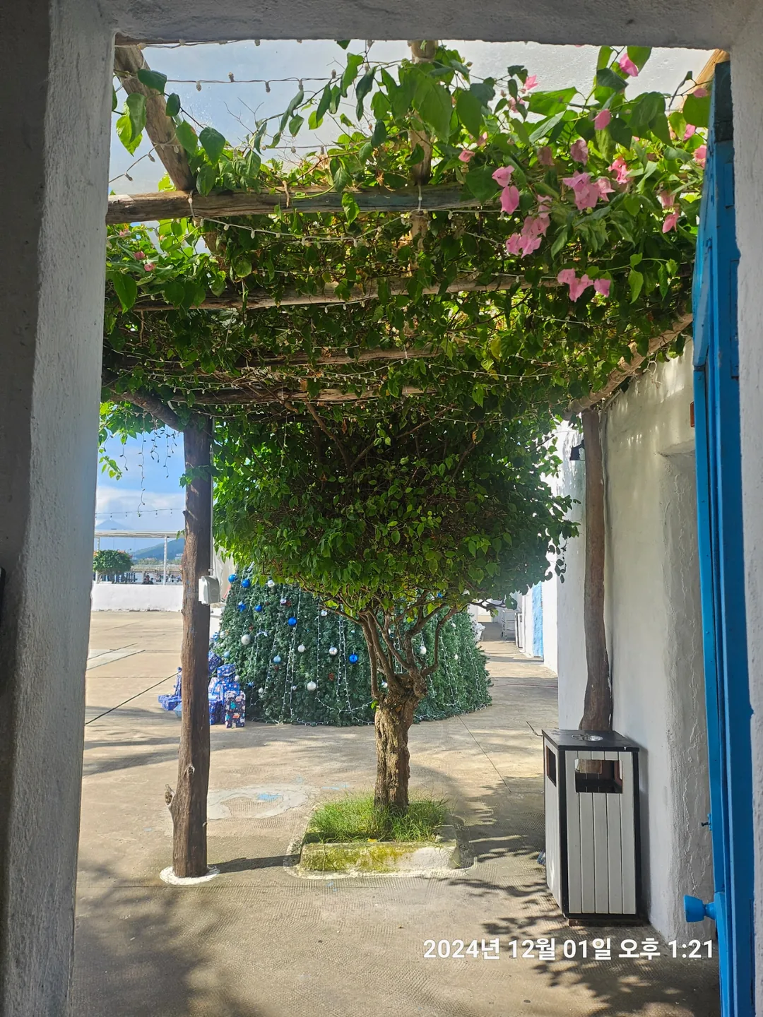 🇻🇳(review) Đà Nẵng lần nữa >> quán cà phê chụp ảnh đẹp, Sun Jama Marina Café
