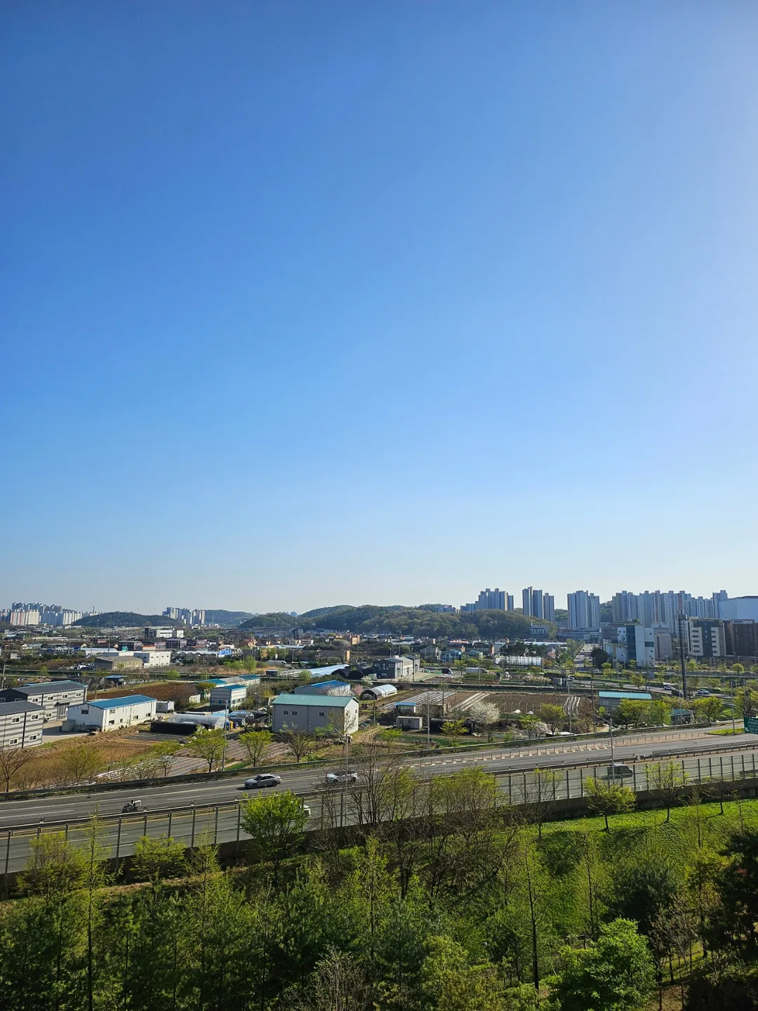 Vì thời tiết đẹp 🌞