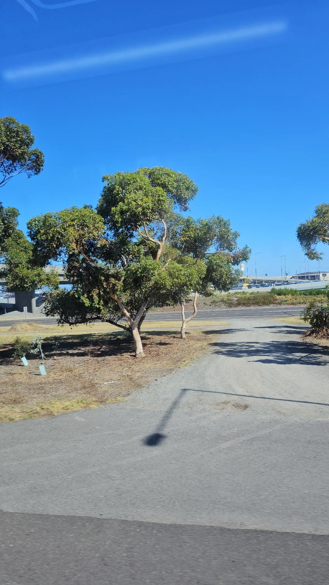 🇦🇺(Du lịch) Melbourne, nối chuyến bay nội địa cũng thành công
