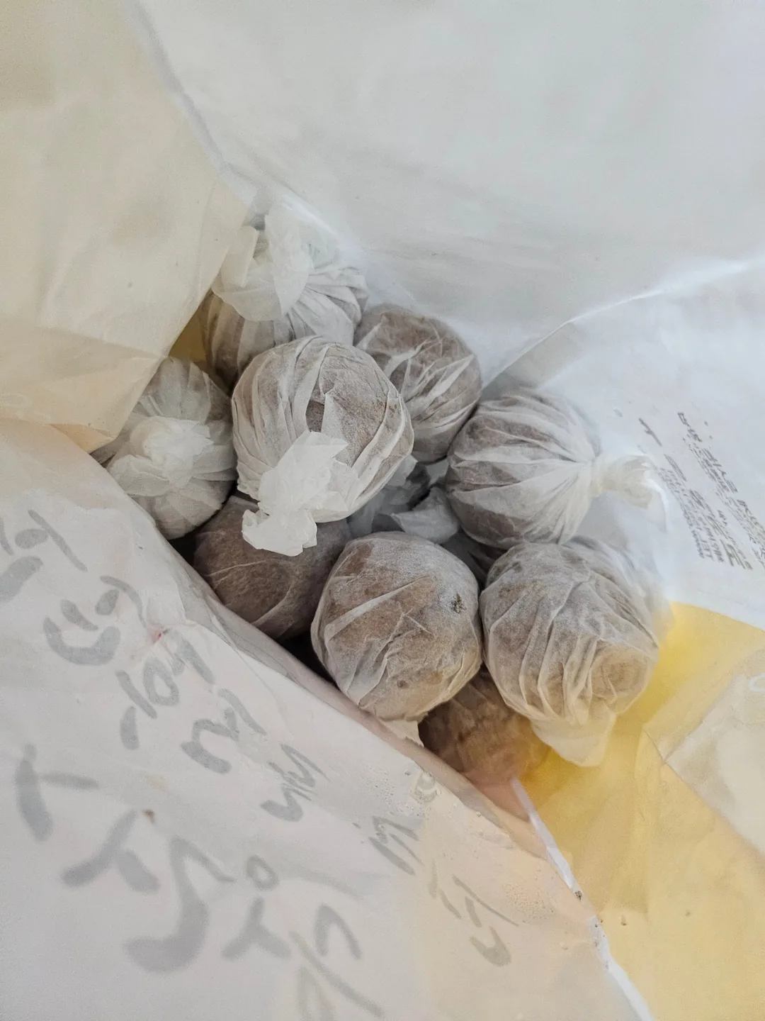 ♥️ cưỡi trên Cocohodo