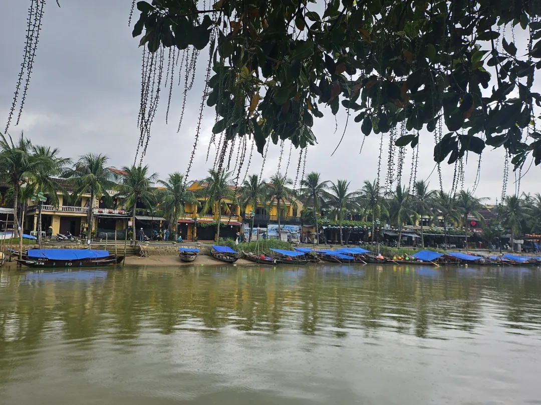 🇻🇳(Hậu ký) Trở lại Đà Nẵng >> Phong cảnh buổi sáng sông Thu Bồn ở Hội An