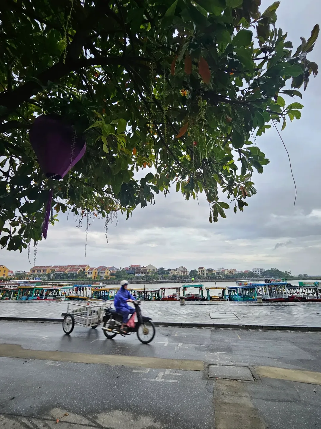 🇻🇳(Hậu ký) Trở lại Đà Nẵng >> Phong cảnh buổi sáng sông Thu Bồn ở Hội An