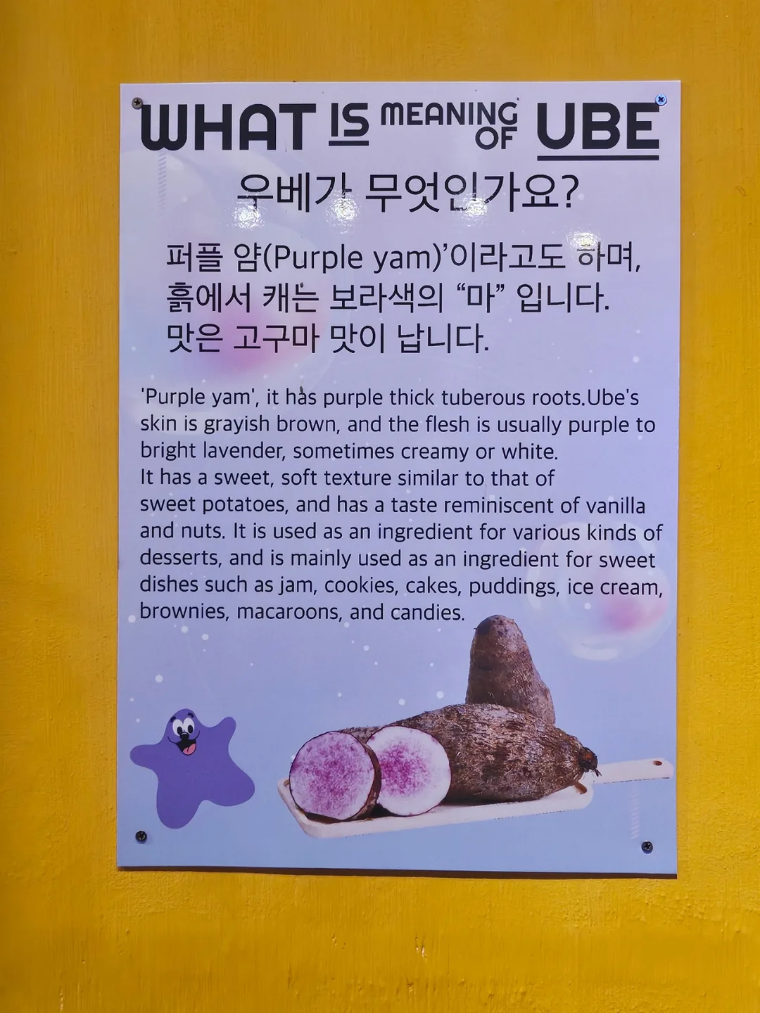 🇻🇳(Review lần ghé thăm lại) Ubebe Hoi An, quán bingsu ngon tuyệt!! Quán có view rooftop tuyệt đẹp!!