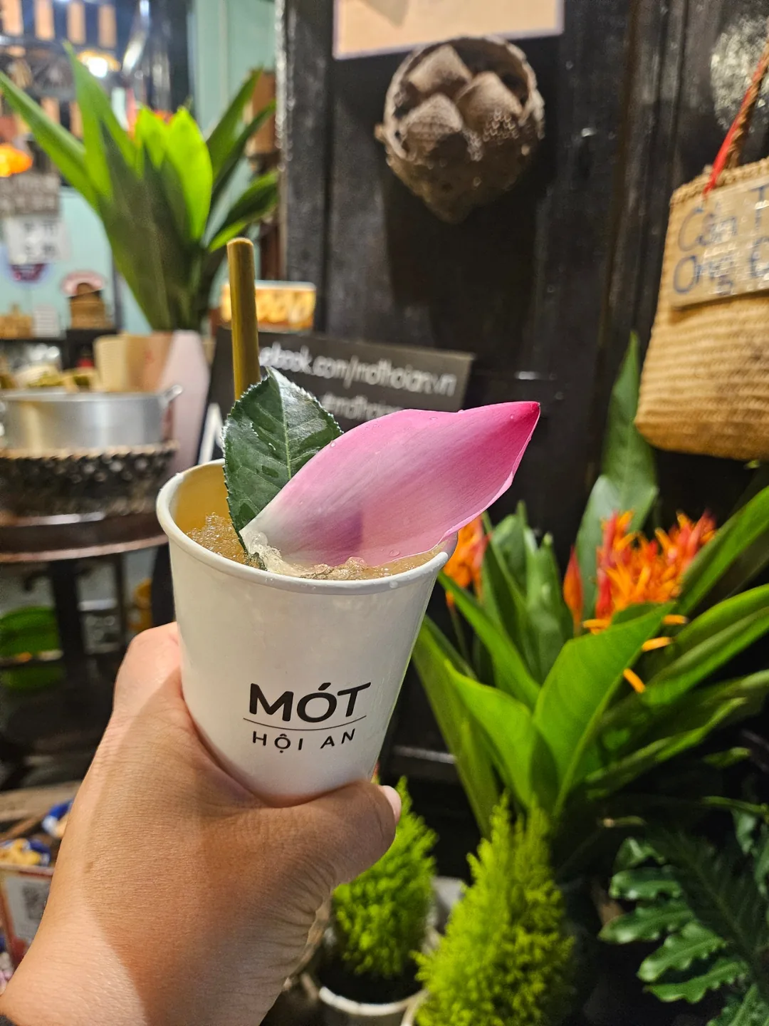 🇻🇳(review sau khi quay lại) Quán cà phê MOT ở Hội An! herbal drink🍸