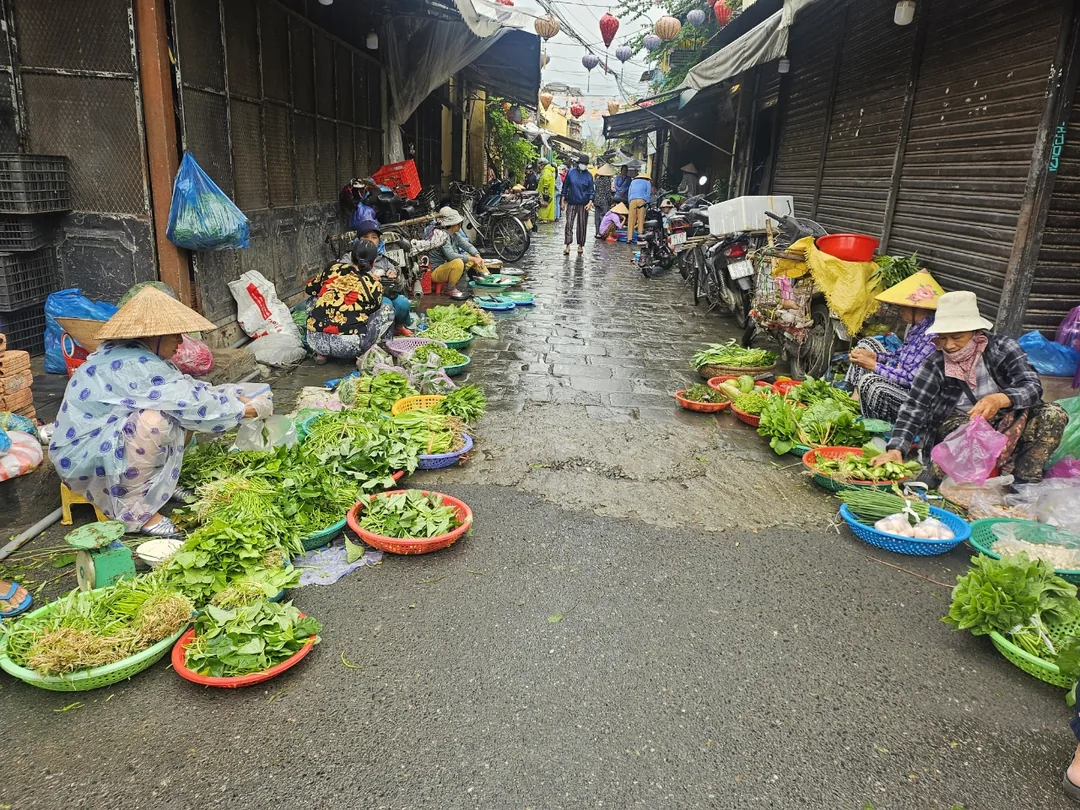 🇻🇳 (Cảm nhận sau khi xem lại) Chợ sớm Hội An ẩm ướt! Cùng nhau du lịch trực tuyến nào!