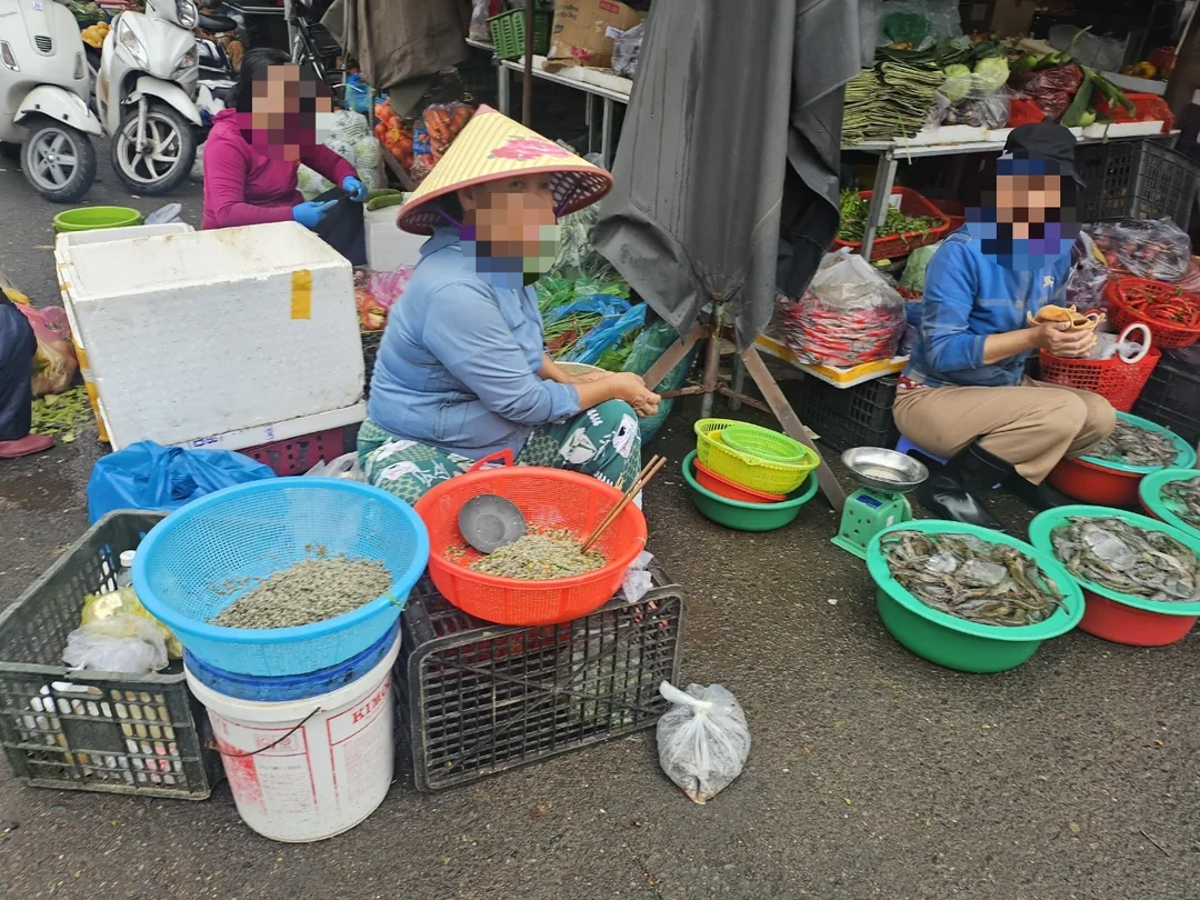 🇻🇳 (Cảm nhận sau khi xem lại) Chợ sớm Hội An ẩm ướt! Cùng nhau du lịch trực tuyến nào!