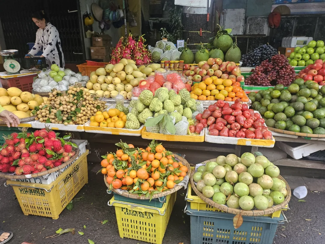 🇻🇳(Đánh giá lần ghé thăm lại) Mua xoài xanh tươi ngon tại chợ sớm Hội An nhé~
