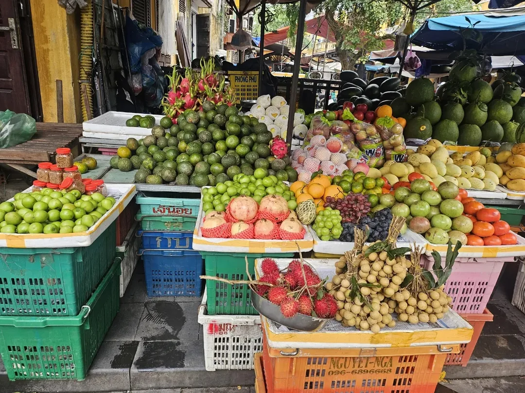 🇻🇳(Đánh giá lần ghé thăm lại) Mua xoài xanh tươi ngon tại chợ sớm Hội An nhé~