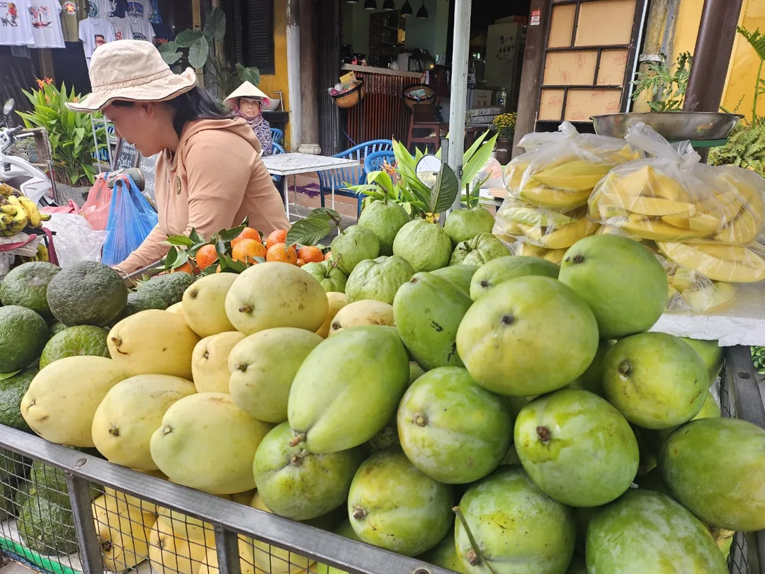 🇻🇳(Đánh giá lần ghé thăm lại) Mua xoài xanh tươi ngon tại chợ sớm Hội An nhé~