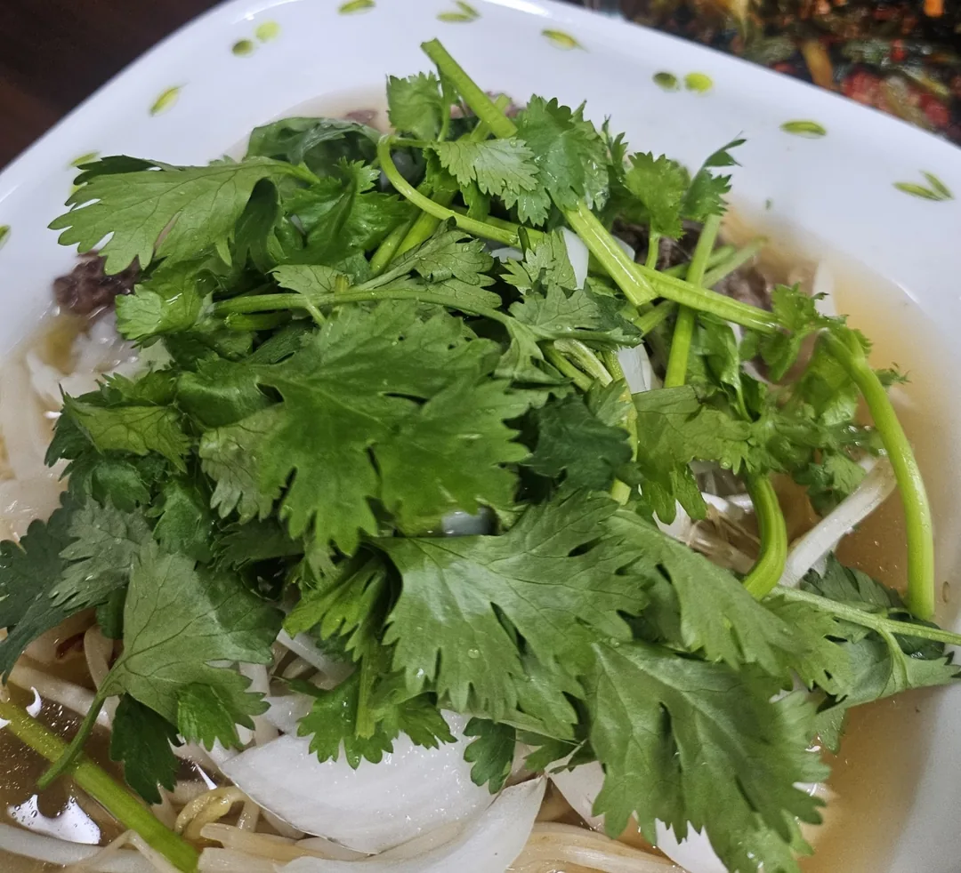 Phở nhà làm ♡