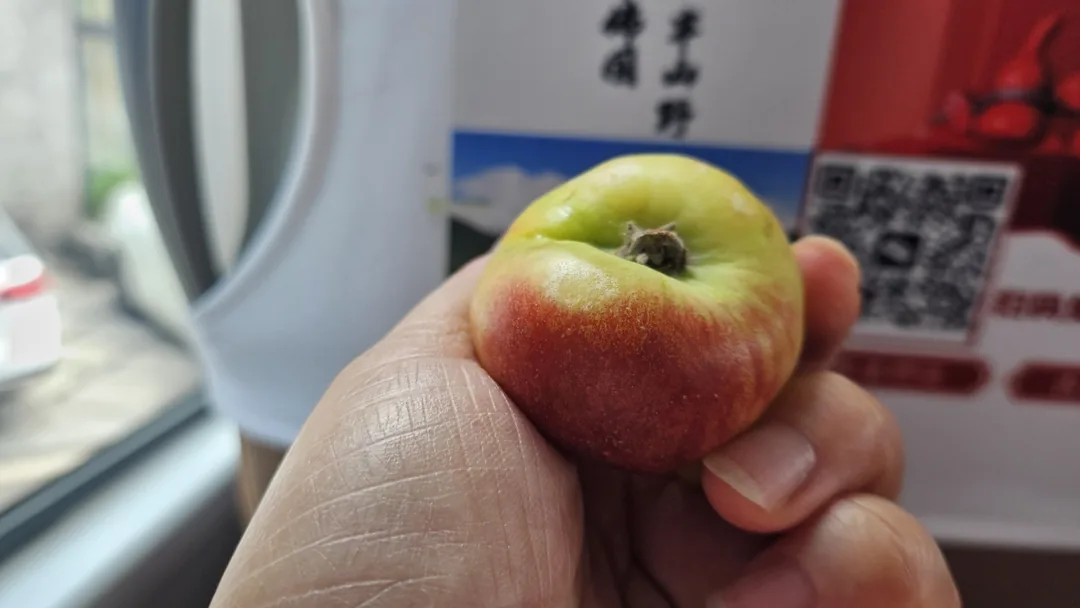 🇨🇳(Diên Cát Live) Món tráng miệng hoàn hảo 🍑🍦
