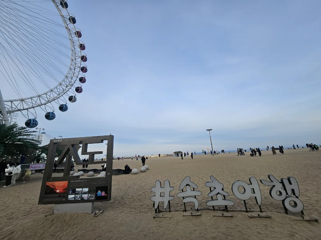 🇰🇷 Biểu tượng của Sokcho! Nhất định phải đi thử Sokcho Eye