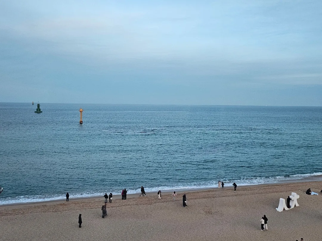 🇰🇷 Biểu tượng của Sokcho! Nhất định phải đi thử Sokcho Eye