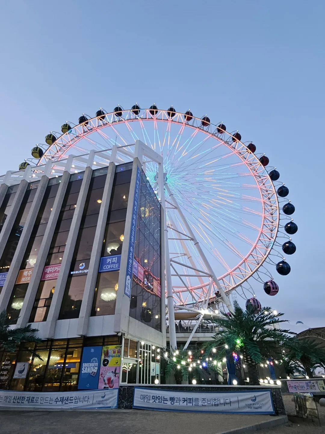 🇰🇷 Biểu tượng của Sokcho! Nhất định phải đi thử Sokcho Eye