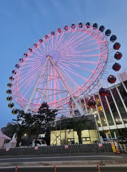 🇰🇷 Biểu tượng của Sokcho! Nhất định phải đi thử Sokcho Eye
