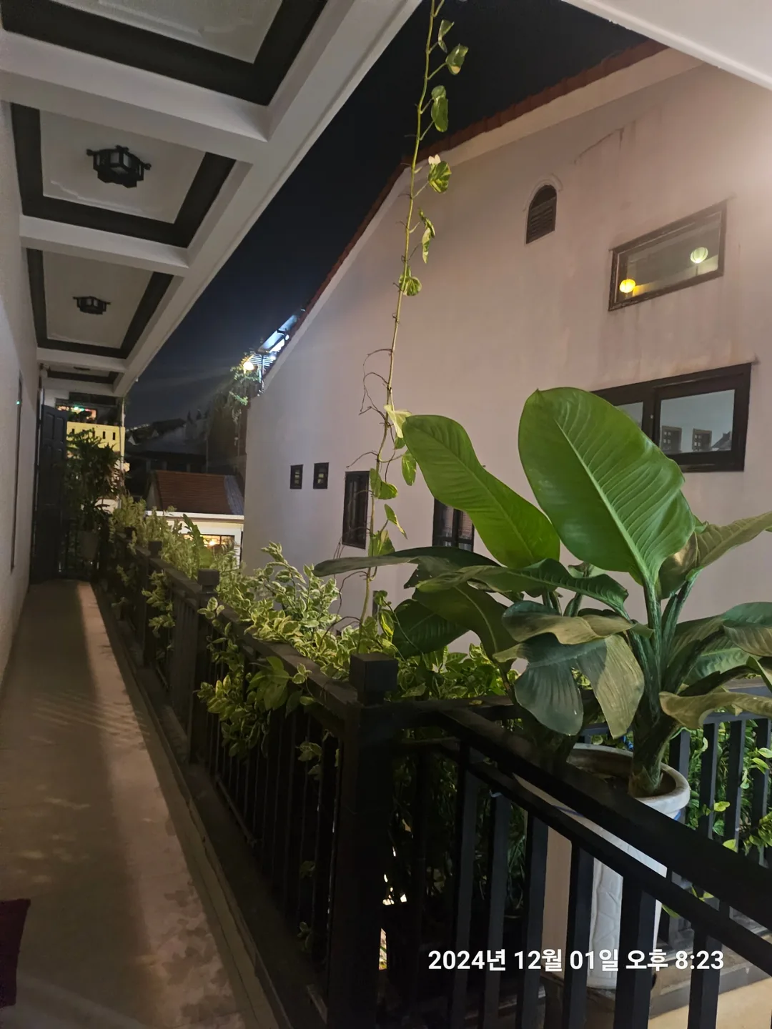 🇻🇳(review) Chợ đêm Hội An chỉ cách 1 phút đi bộ! Serenity Villa Hoian