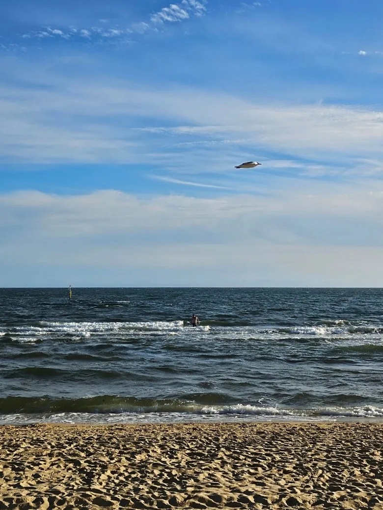 🇦🇺 Địa điểm ngắm hoàng hôn nổi tiếng~ Bãi biển St Kilda ở Melbourne (St Kilda beach)