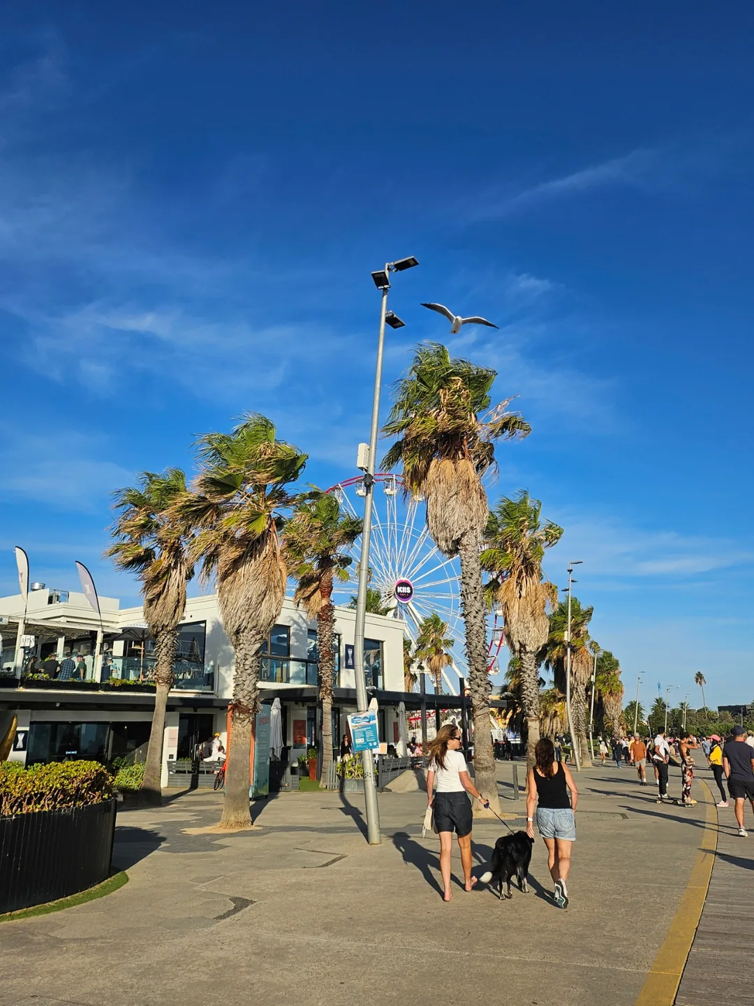🇦🇺 Địa điểm ngắm hoàng hôn nổi tiếng~ Bãi biển St Kilda ở Melbourne (St Kilda beach)