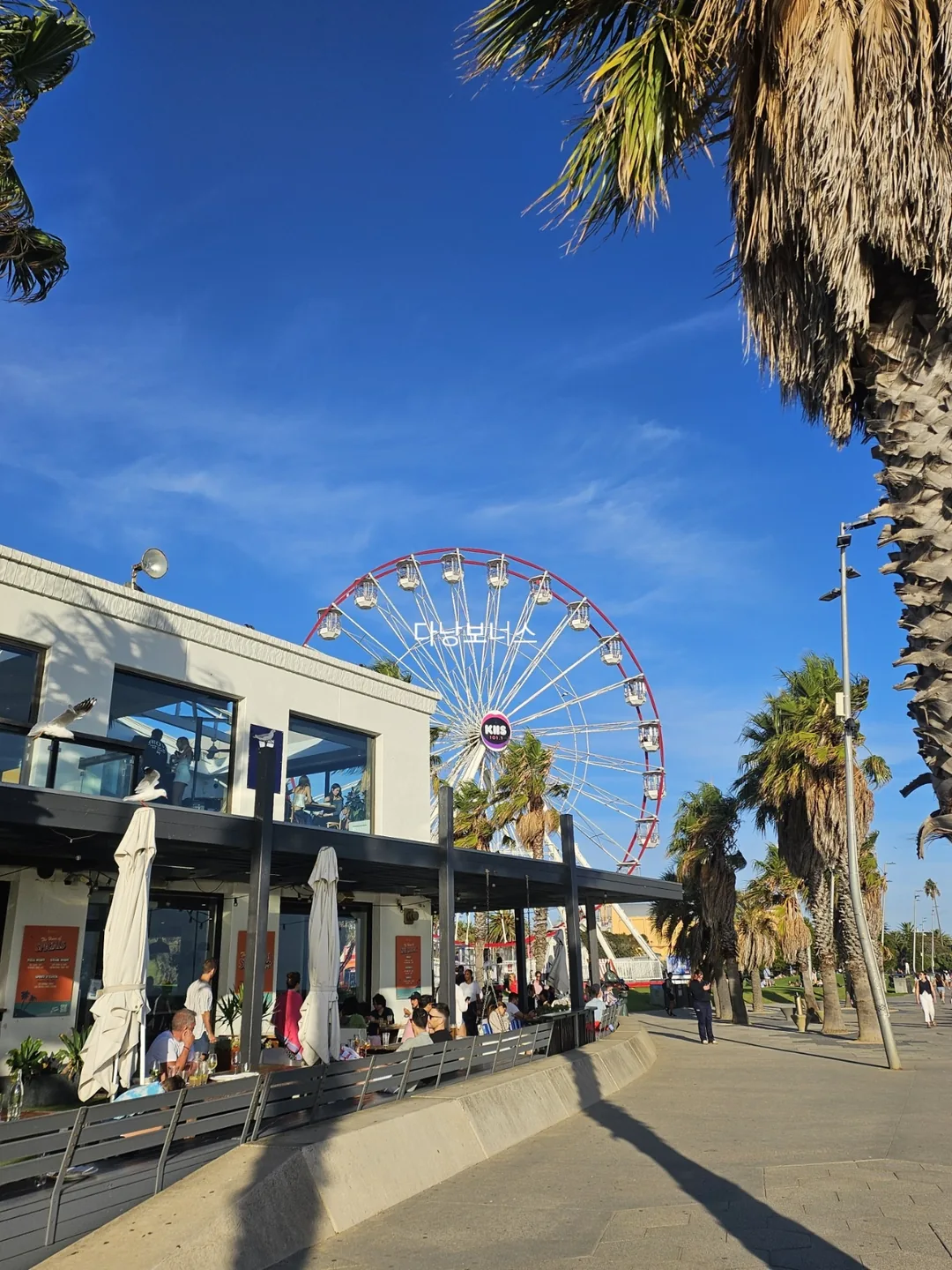 🇦🇺Melbourne Republica St Kilda Beach, ban nhạc và fish and chips kết hợp tuyệt vời👍