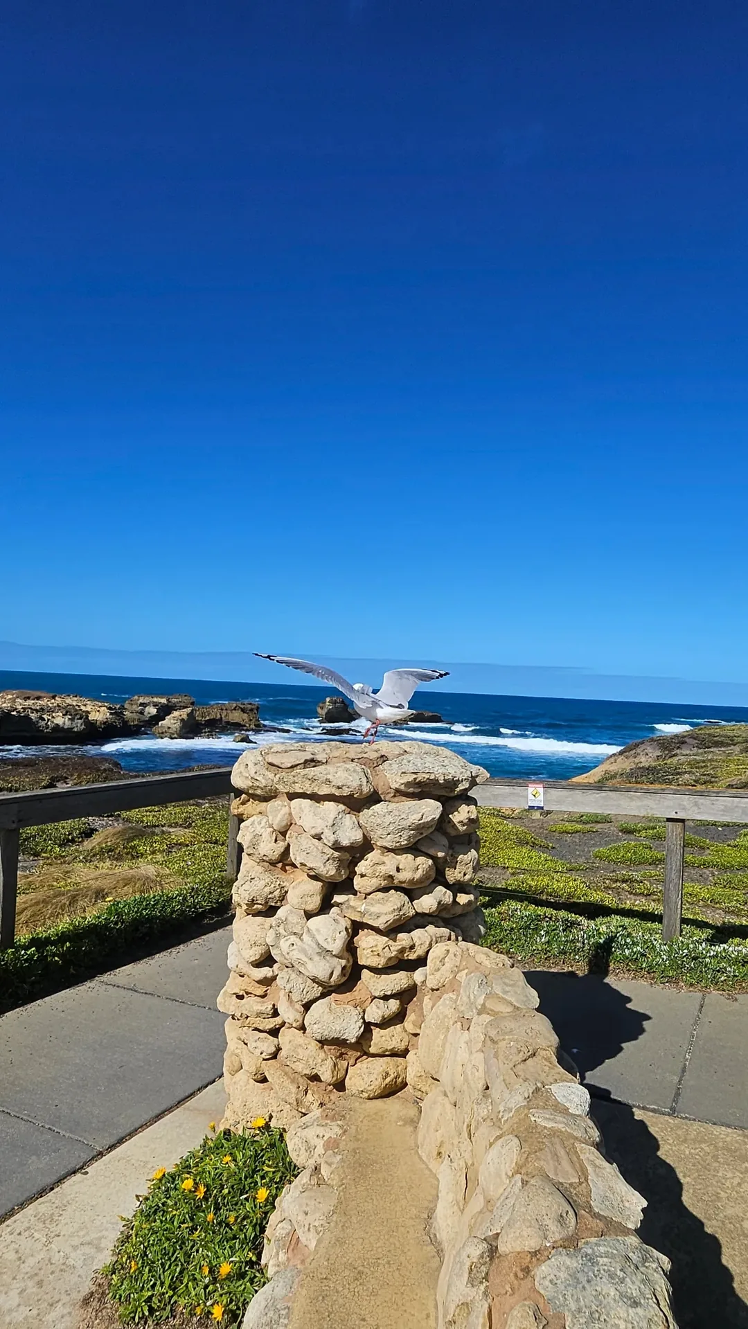 🇦🇺 Great Ocean Road! Hãy cảm nhận sự vĩ đại của thiên nhiên~!