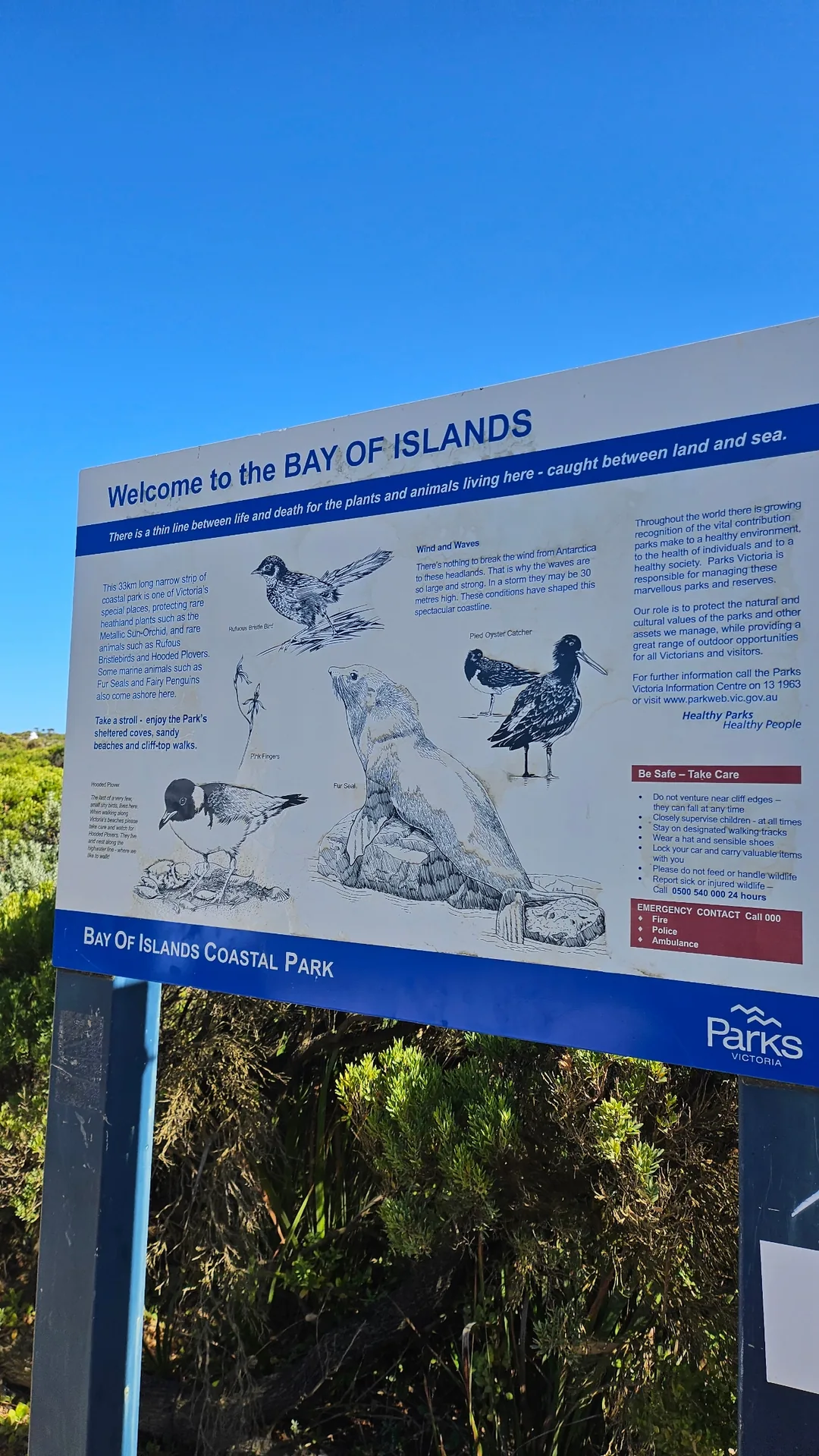 🇦🇺 Great Ocean Road! Hãy cảm nhận sự vĩ đại của thiên nhiên~!