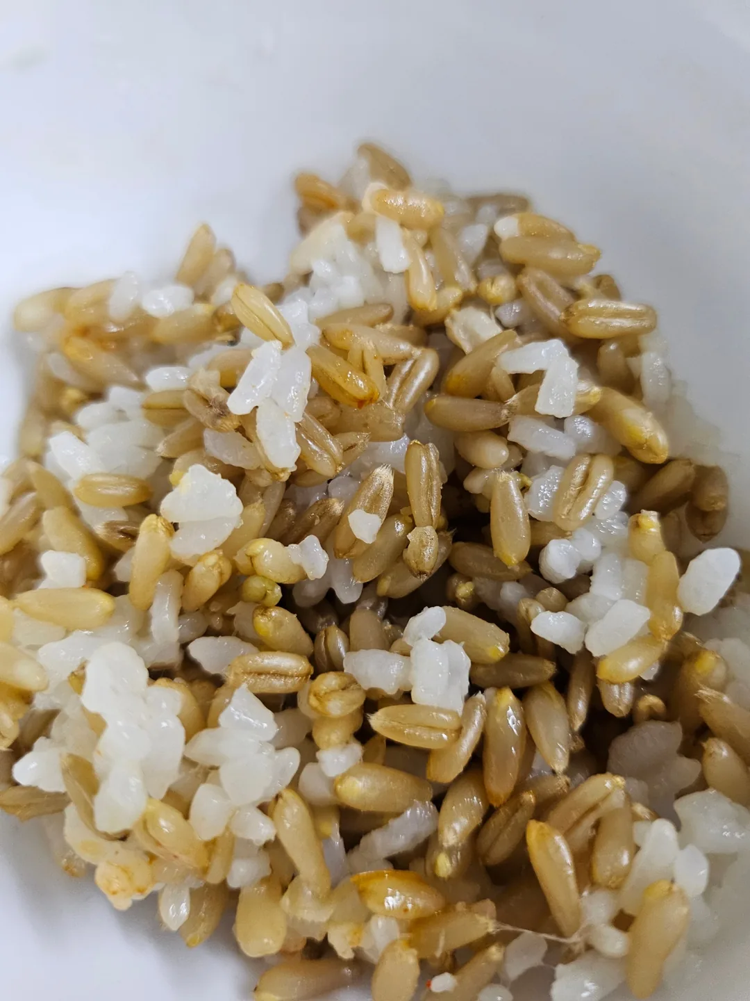 Cá thu kho kimchi muối lâu năm