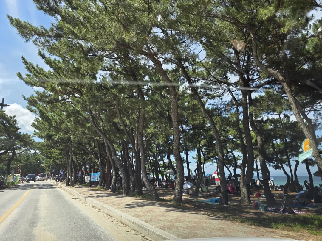 🇰🇷 Bãi biển Anmok đậm chất mùa hè ⛱️
