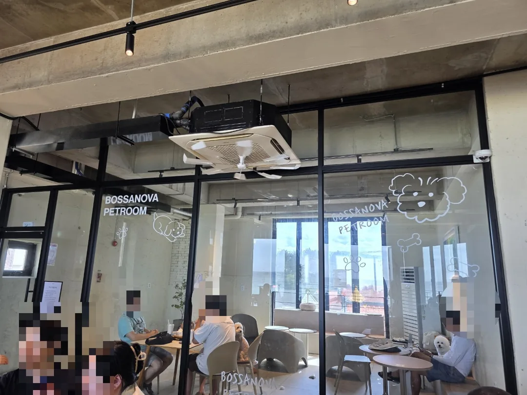 🇰🇷 Bossa Nova Coffee Roasters chi nhánh Gangneung ☕️