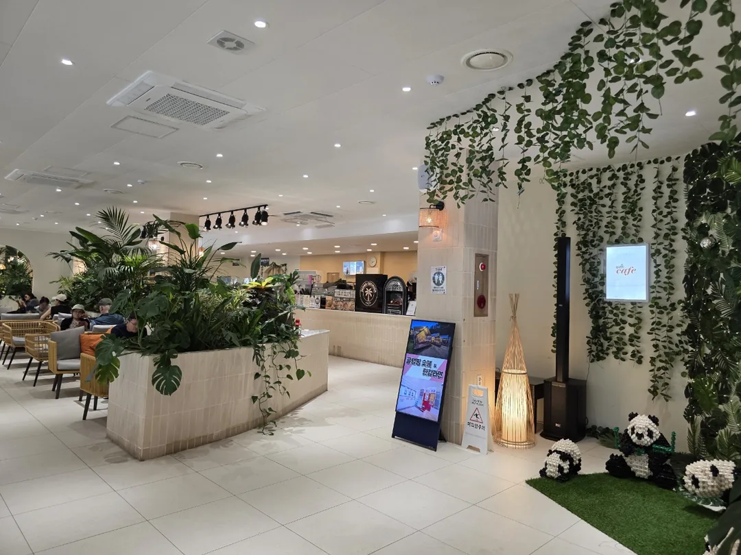 🇰🇷Yongin Jeong-geu-ri! Hãy đến chơi trong khu rừng nhé
