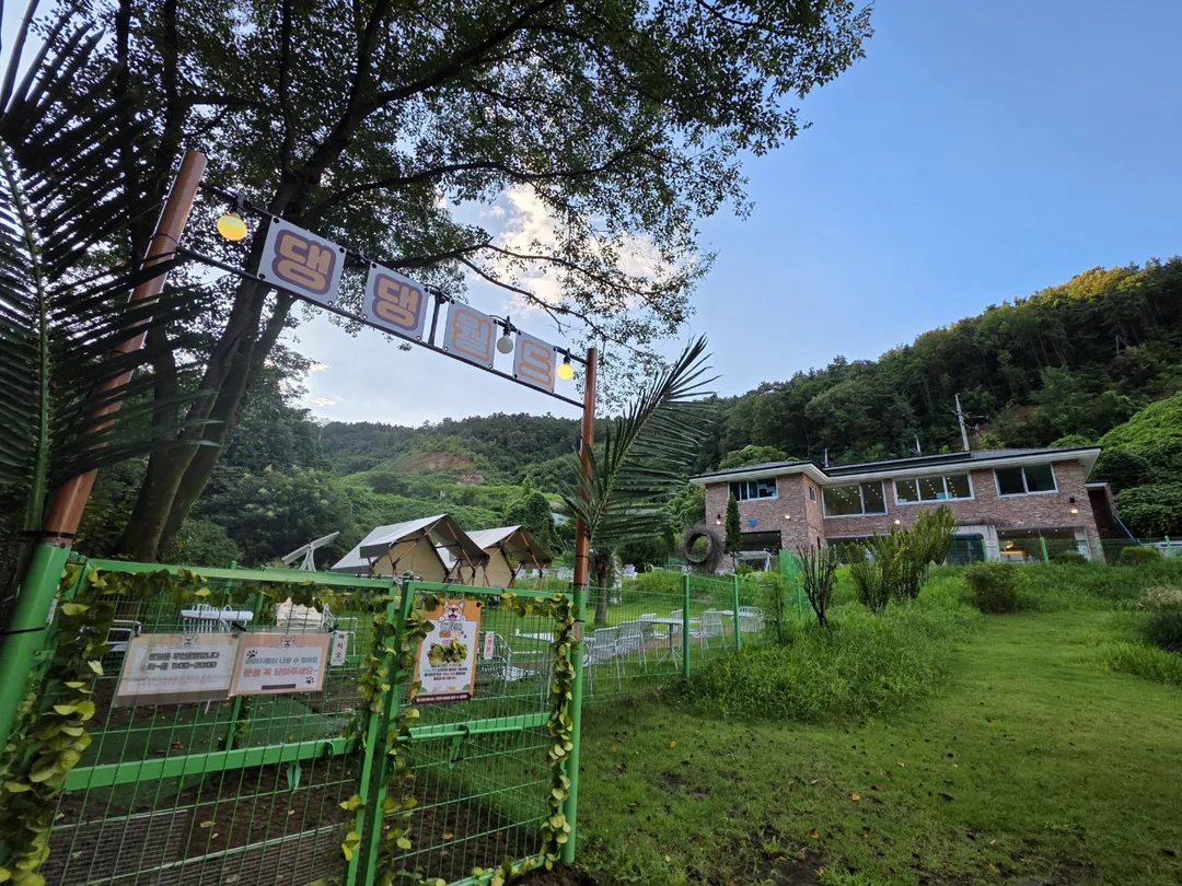 🇰🇷Yongin Jeong-geu-ri! Hãy đến chơi trong khu rừng nhé
