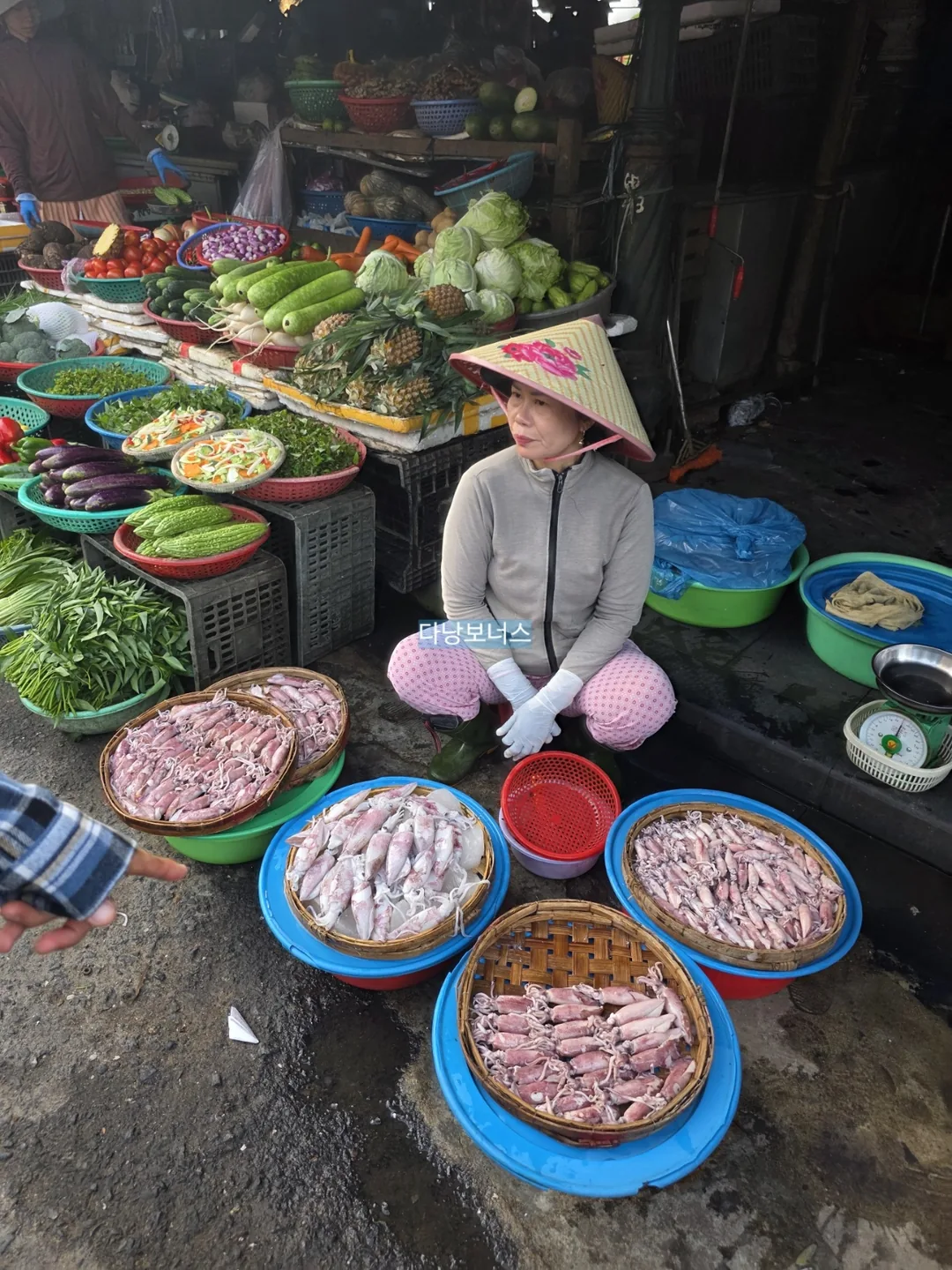 🇻🇳 Chợ Hội An nhộn nhịp