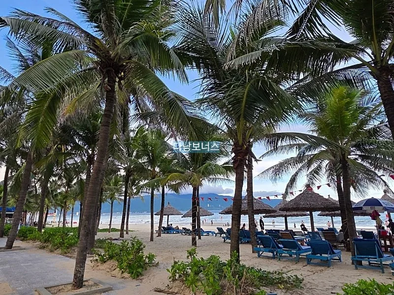 🇻🇳 Chuyến du lịch một mình lần thứ 2, ngày 2: 24 giờ là không đủ