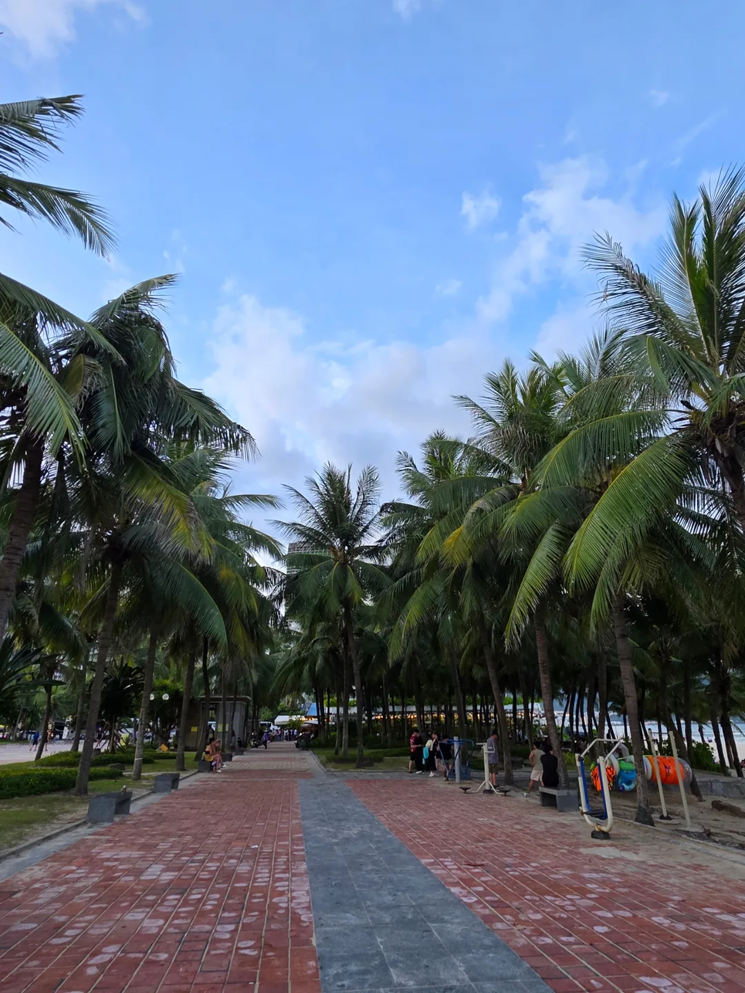 🇻🇳 Ốc đảo của bãi biển Mỹ Khê~ 247! Miễn phí nên càng tuyệt!!