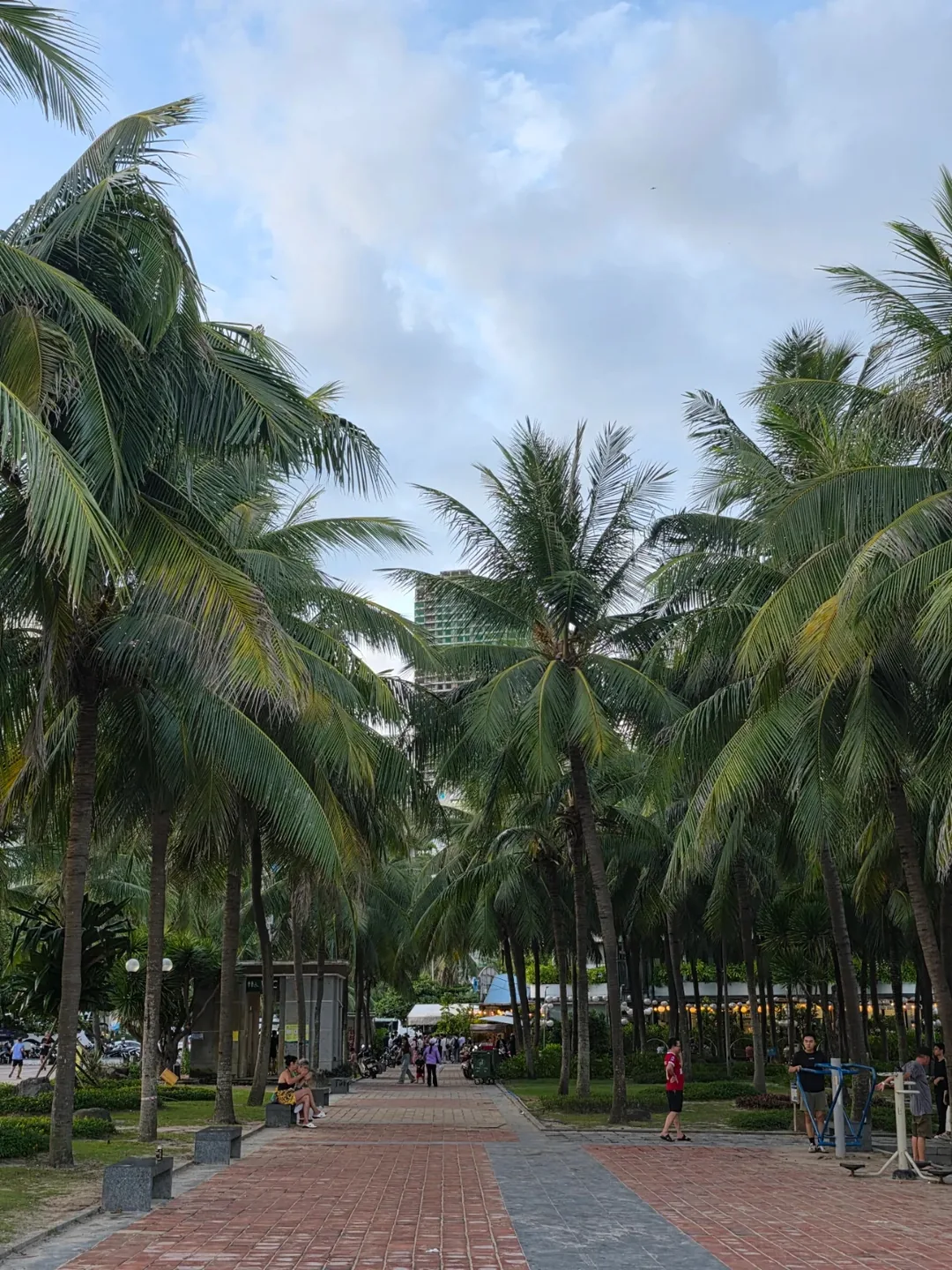🇻🇳 Ốc đảo của bãi biển Mỹ Khê~ 247! Miễn phí nên càng tuyệt!!