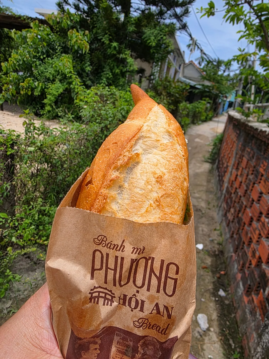 🇻🇳 Bánh Mì Phượng Hội An! Bánh mì trứng, hạnh phúc chỉ với 1.000 won