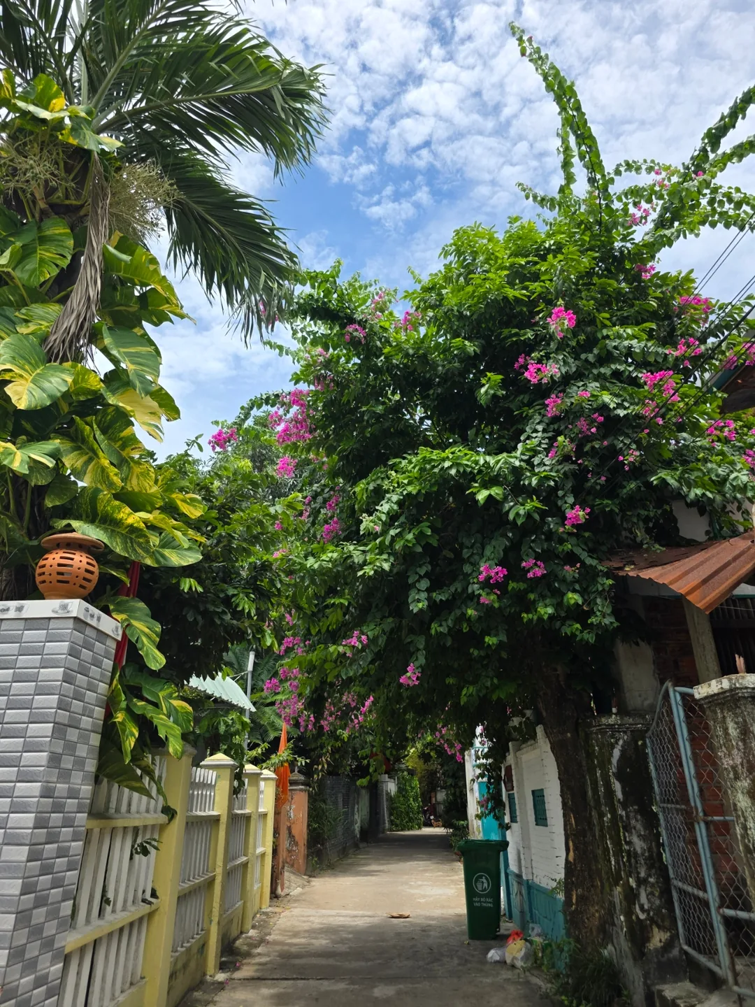 🇻🇳 Niềm hạnh phúc nhỏ bé gặp được trên con đường không ngờ tới