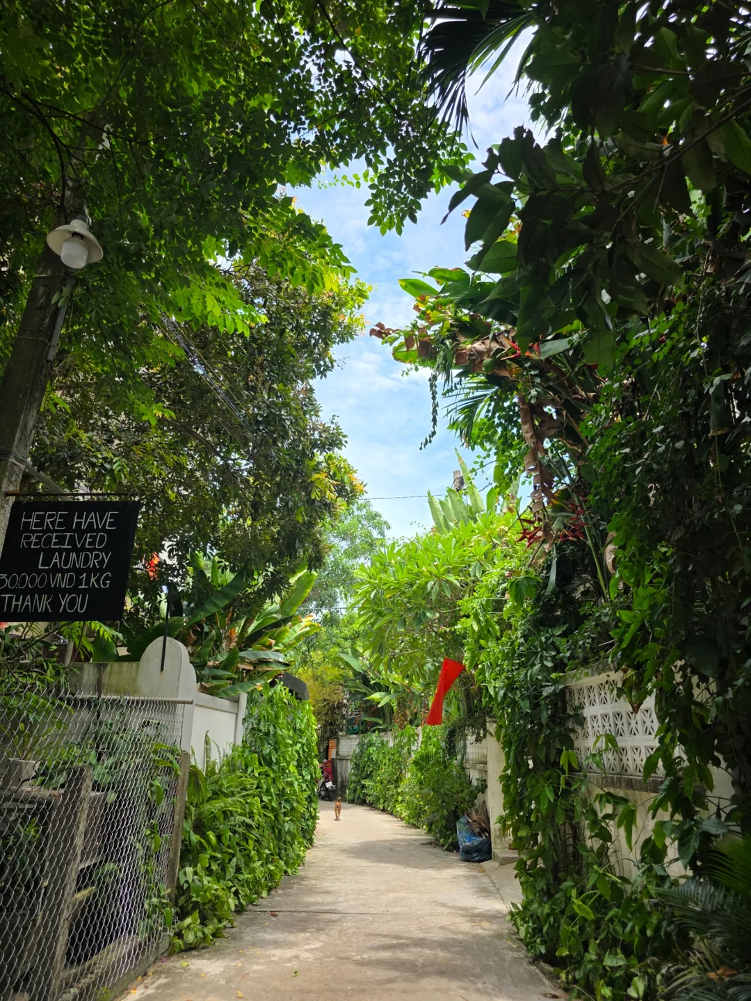 🇻🇳 Niềm hạnh phúc nhỏ bé gặp được trên con đường không ngờ tới