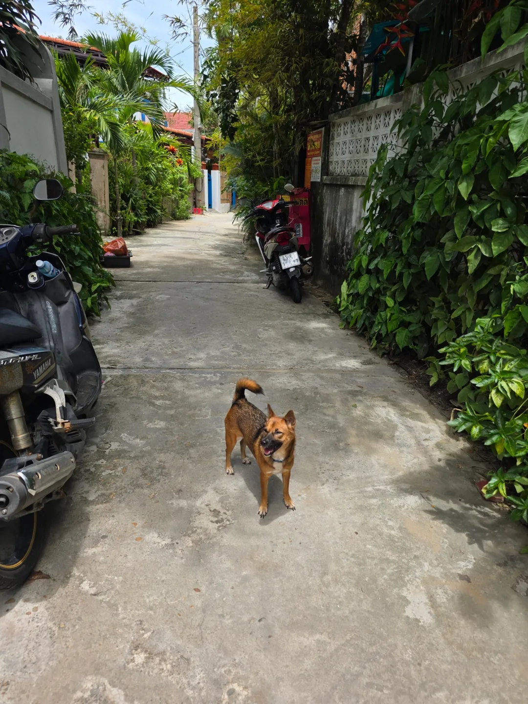🇻🇳 Niềm hạnh phúc nhỏ bé gặp được trên con đường không ngờ tới