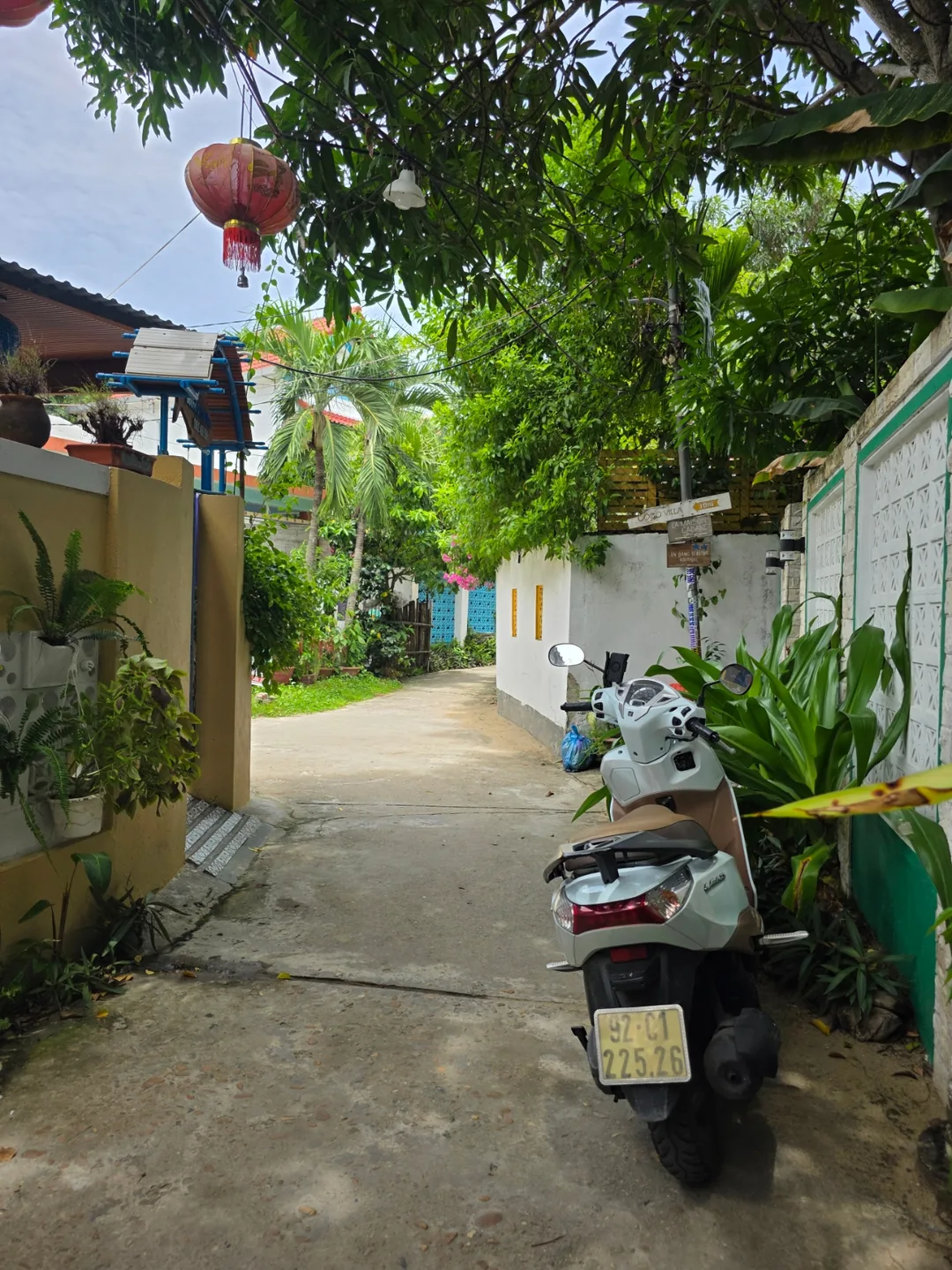 🇻🇳 Niềm hạnh phúc nhỏ bé gặp được trên con đường không ngờ tới