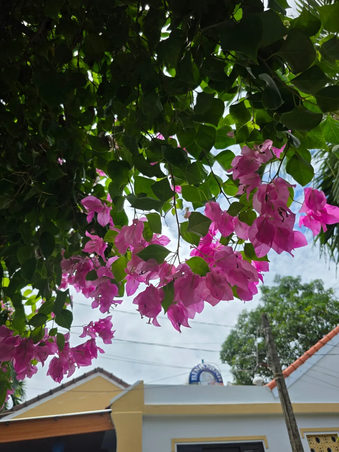 🇻🇳 Niềm hạnh phúc nhỏ bé gặp được trên con đường không ngờ tới