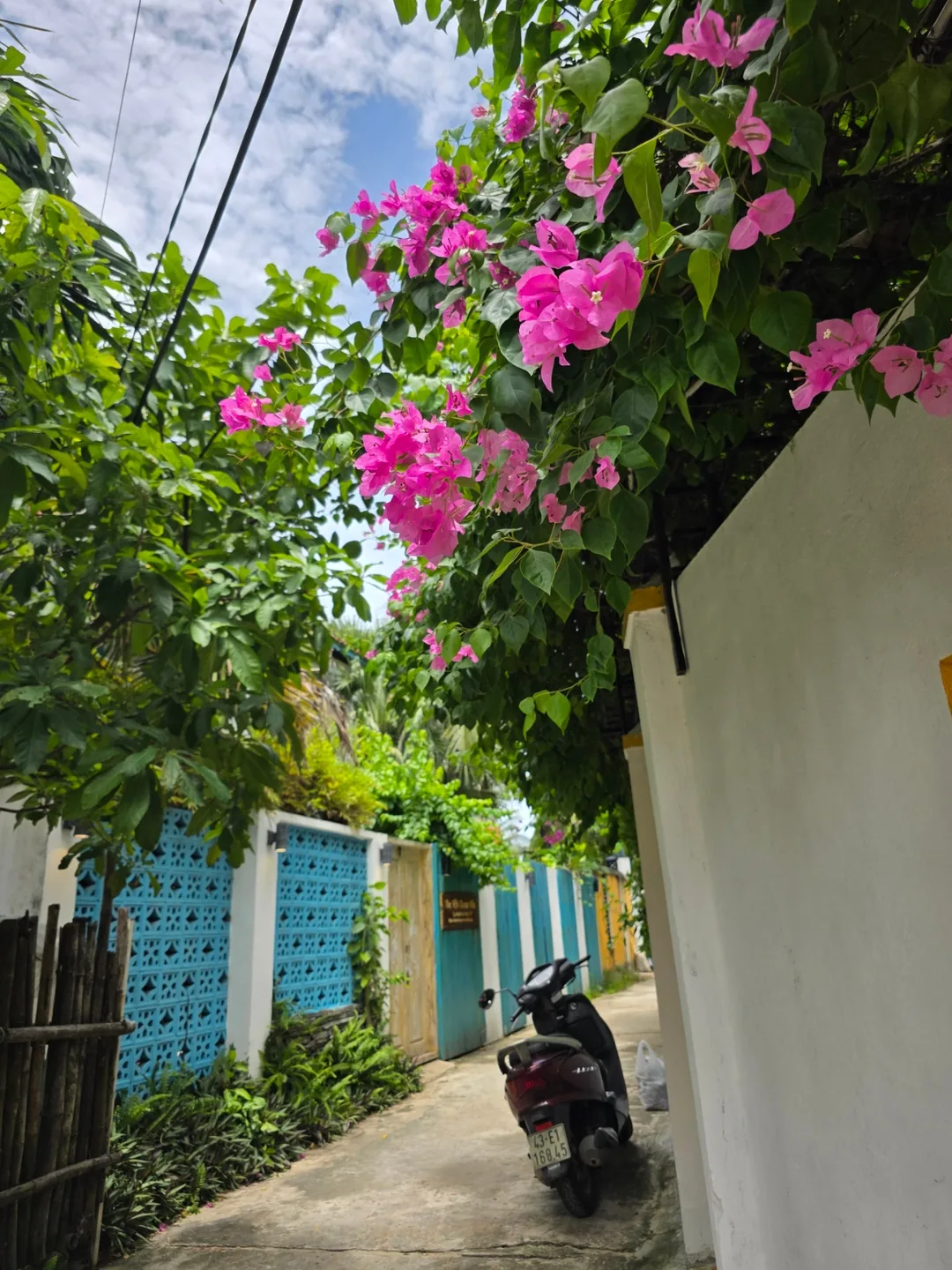 🇻🇳 Niềm hạnh phúc nhỏ bé gặp được trên con đường không ngờ tới