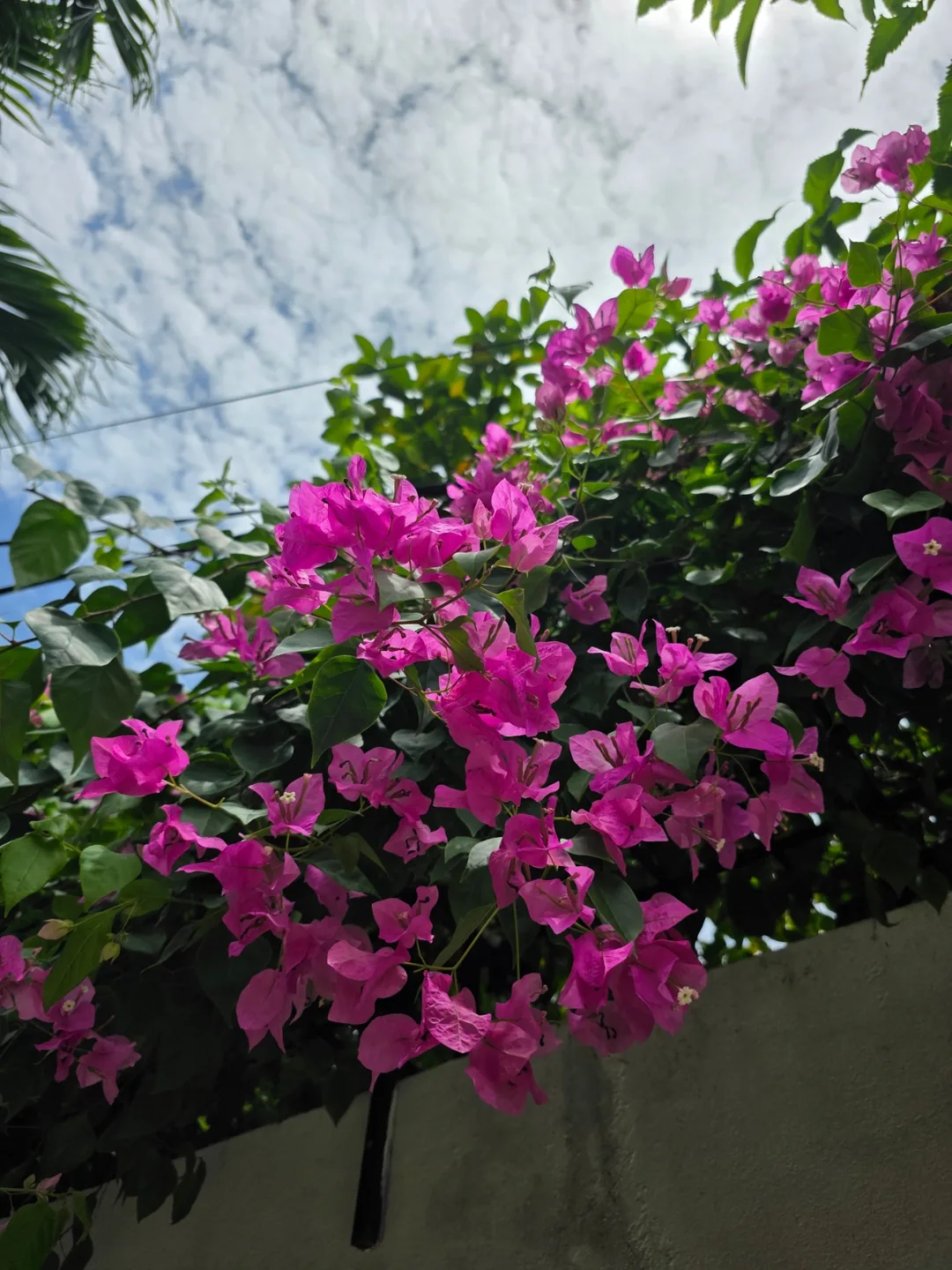 🇻🇳 Niềm hạnh phúc nhỏ bé gặp được trên con đường không ngờ tới