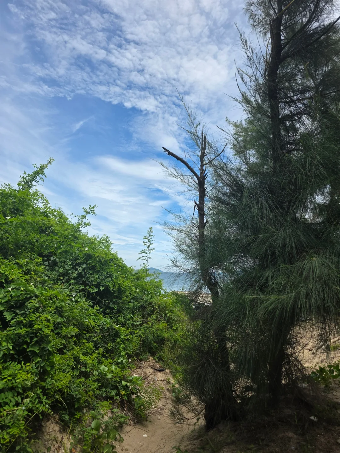 🇻🇳 Niềm hạnh phúc nhỏ bé gặp được trên con đường không ngờ tới