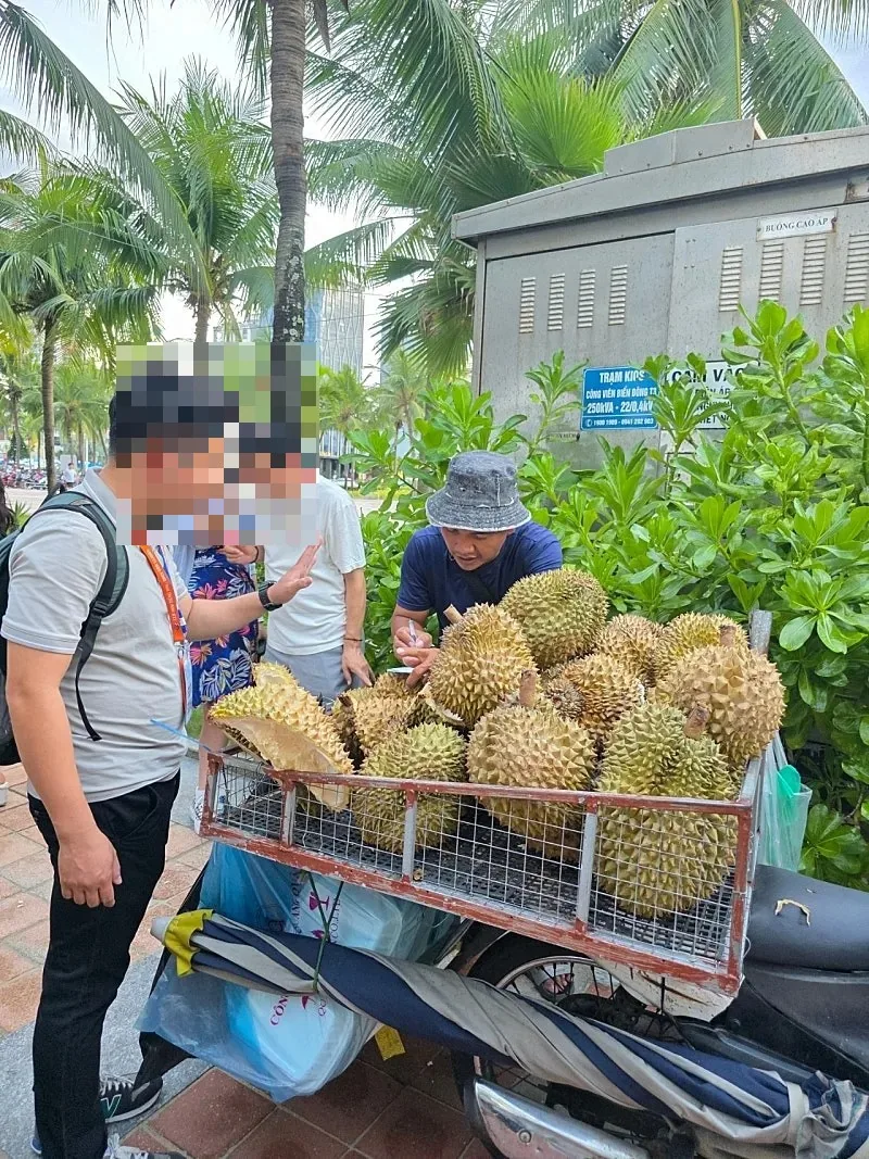 🇻🇳 Tìm thấy rồi! Mít!