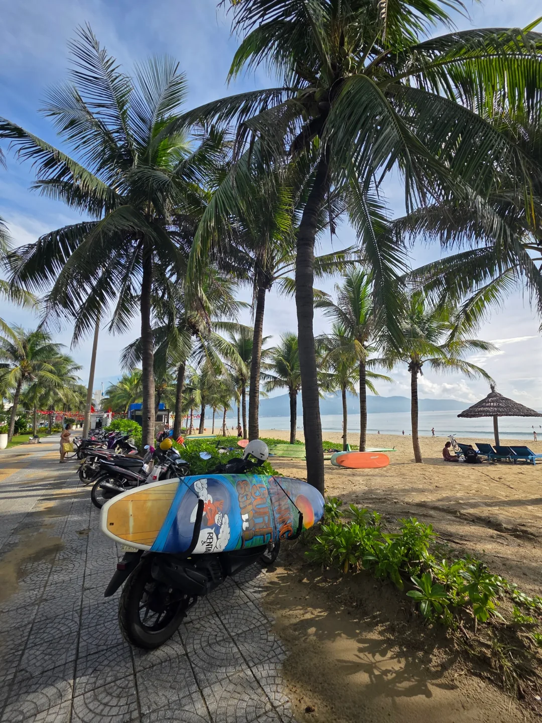 🇻🇳 Đi dạo buổi sáng ở biển Mỹ Khê